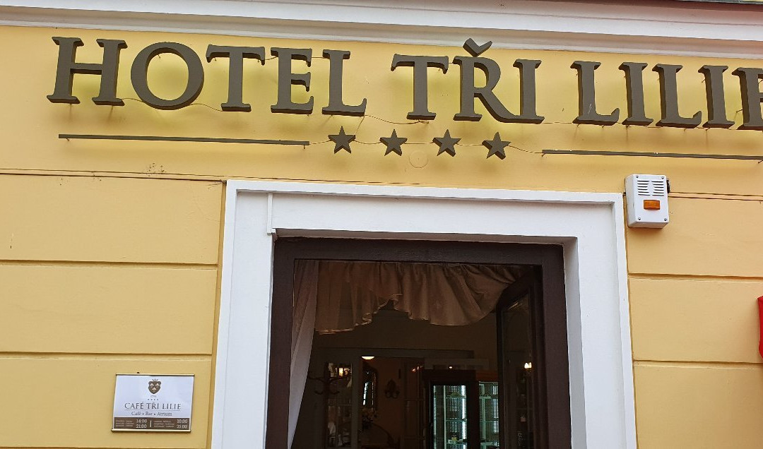 Hotel Tri Lilie主图