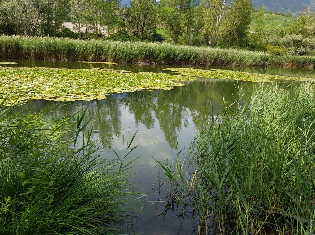 Lac du Mont d'Orge