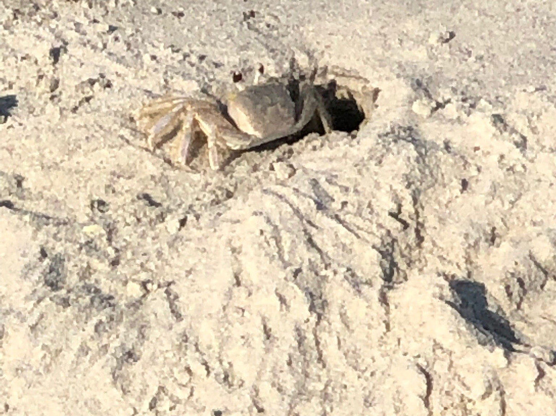 The Point-Oak Island必去景点