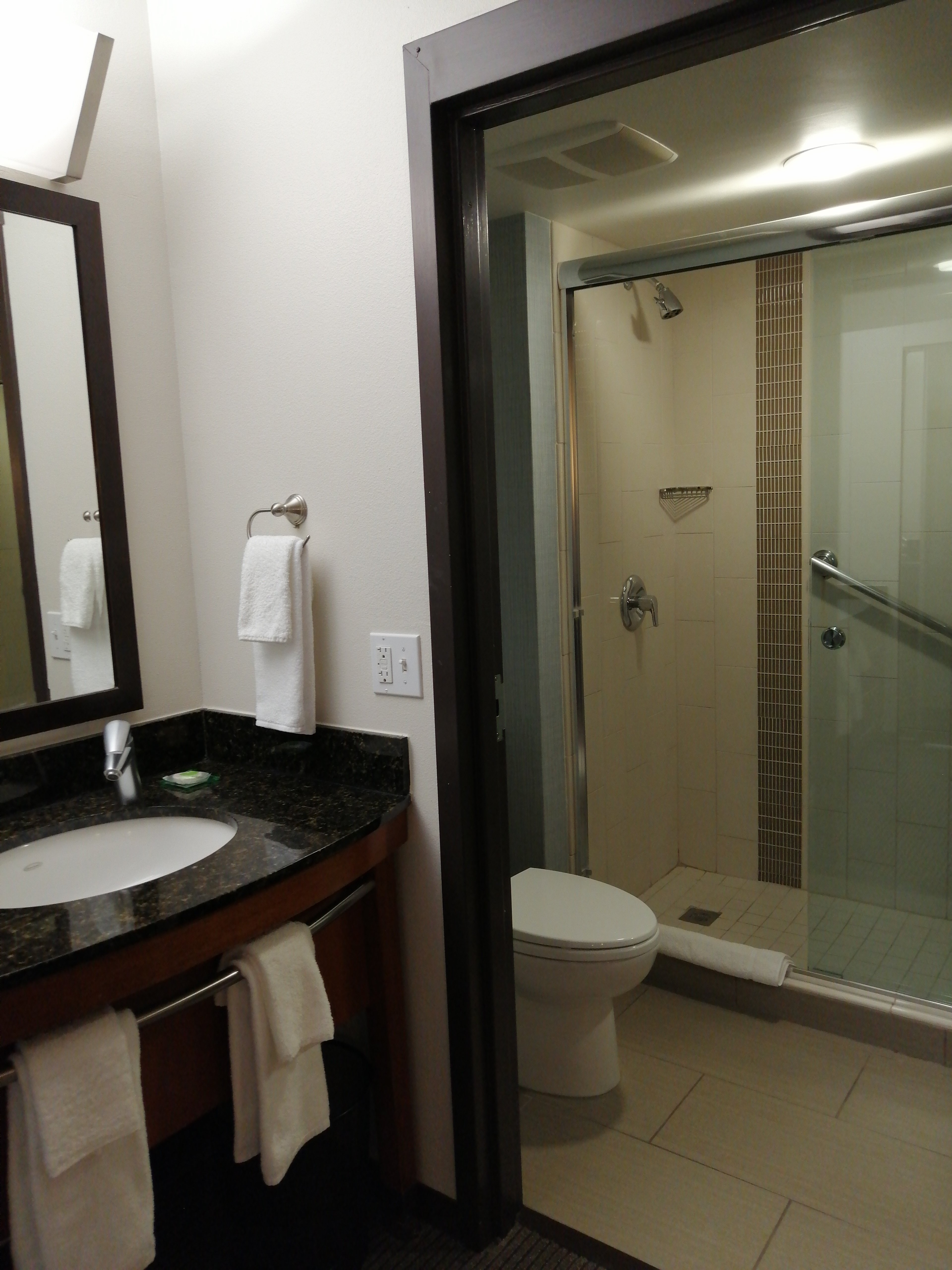 Hyatt Place Fremont / Silicon Valley-浴室