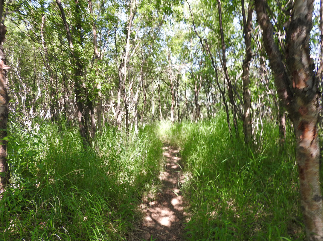 Valley of Ten Thousand Smokes-卡特迈国家公园及自然保护区必去景点