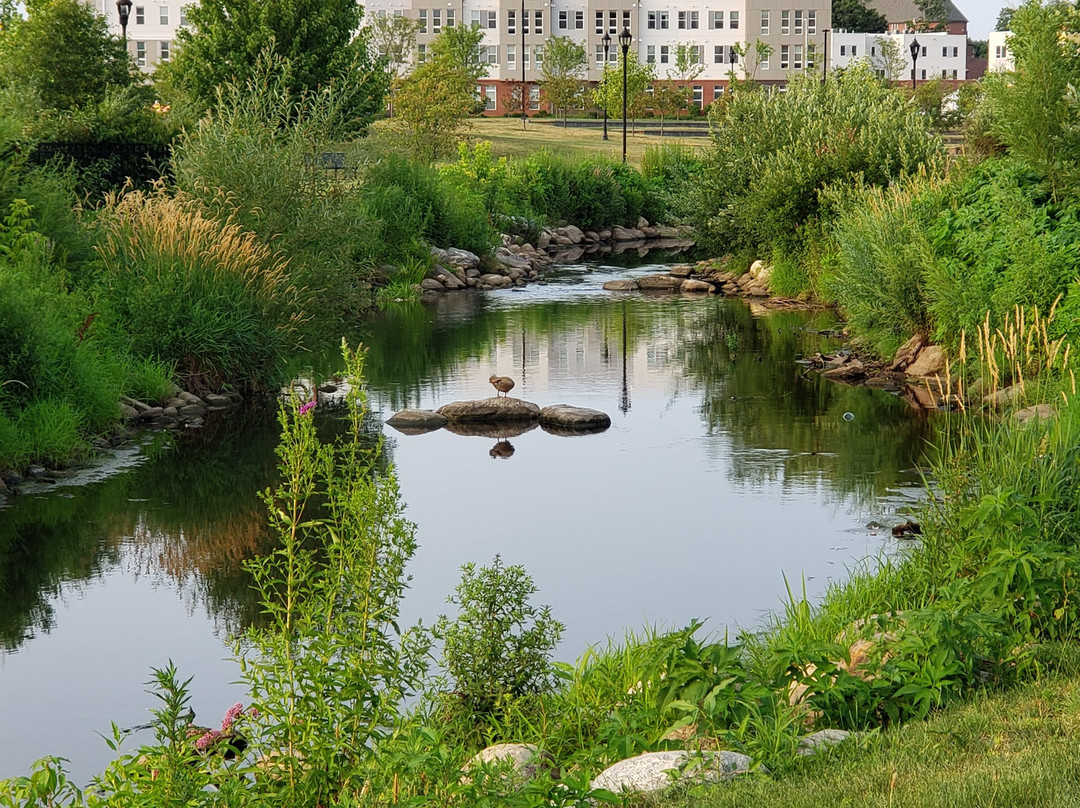 Meriden Green景点图片