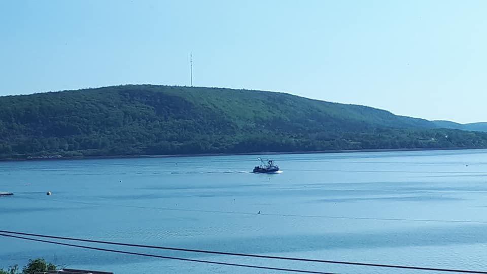 Admiral Digby Inn-酒店景观