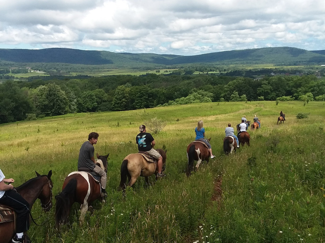 Mountain Trail Rides Horseback Riding & More景点图片