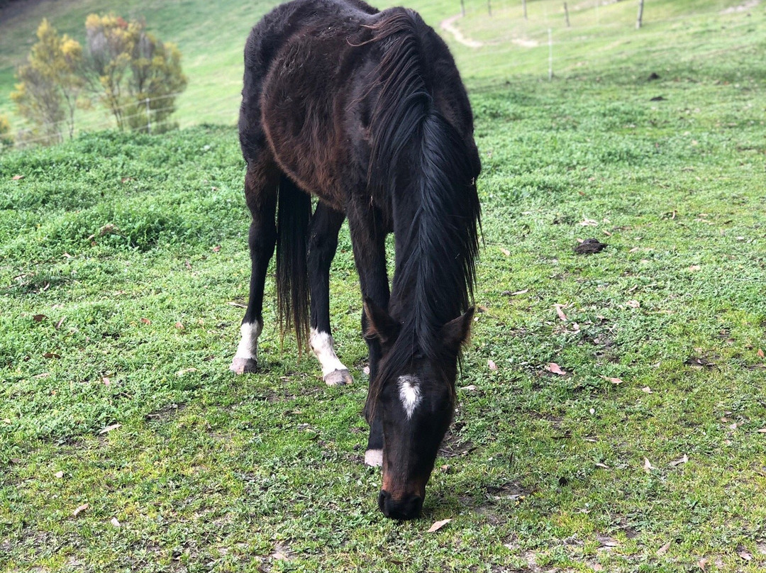 Mira Mira Accomadation主图