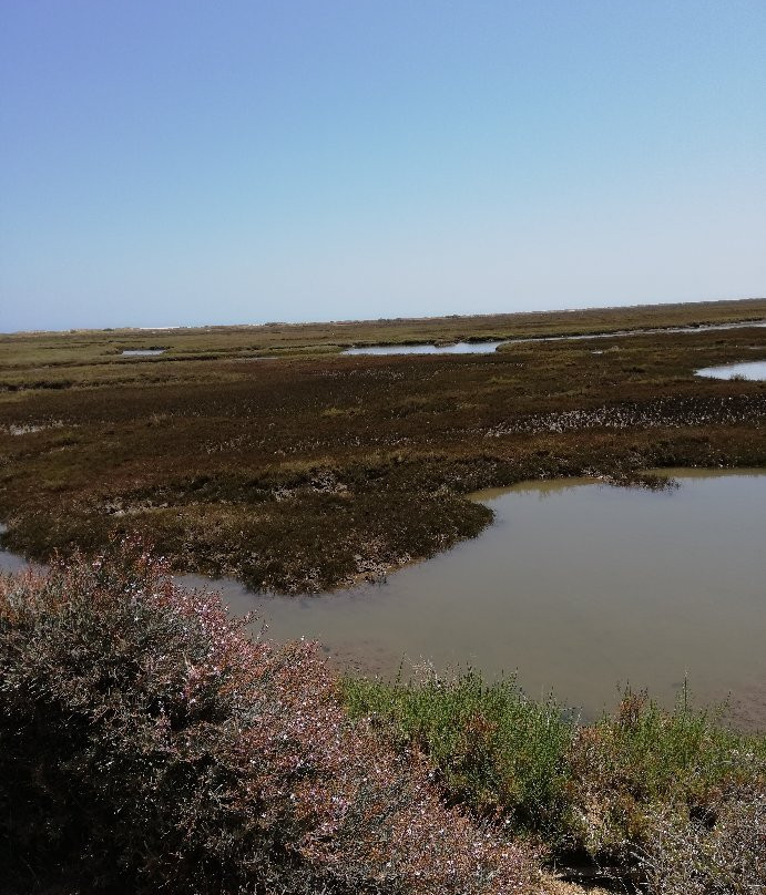 Praia do Barril景点图片