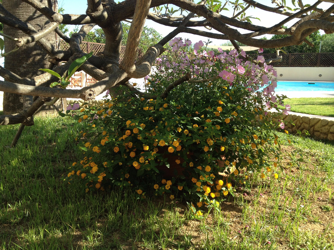 Hotel Kissamos主图