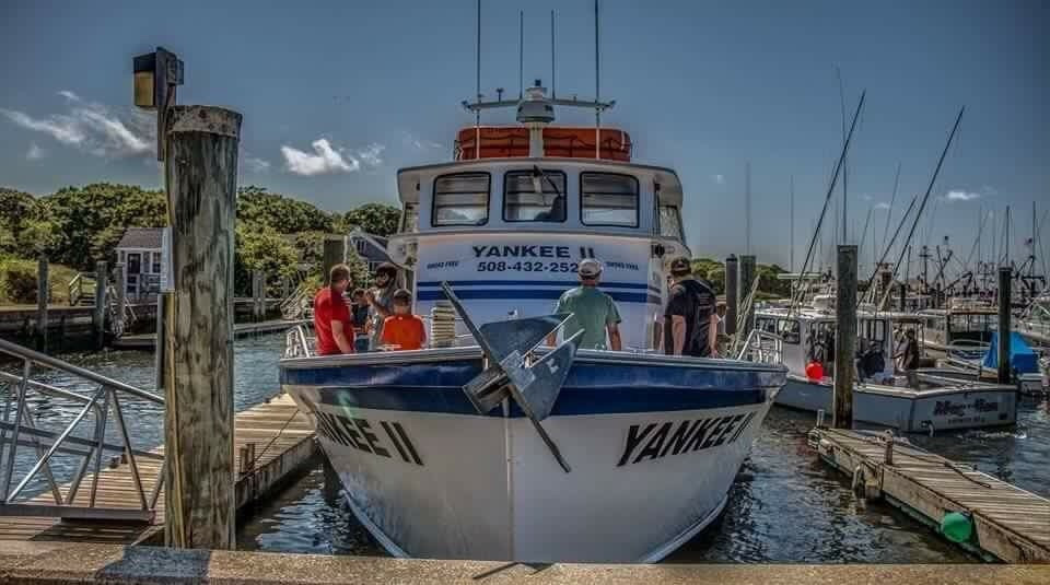 Yankee II Deep Sea Fishing景点图片