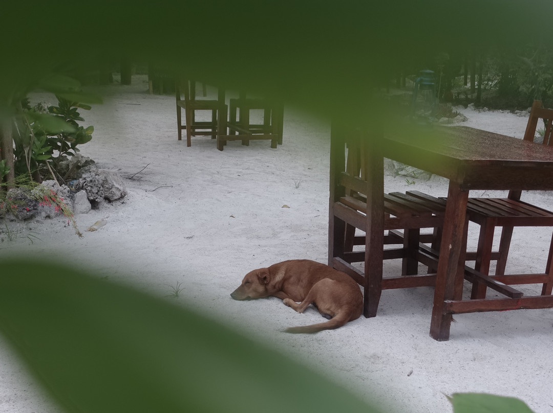 Mount Zion Lodge主图