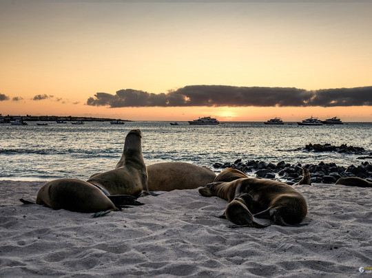Casa Iguana Mar y Sol主图