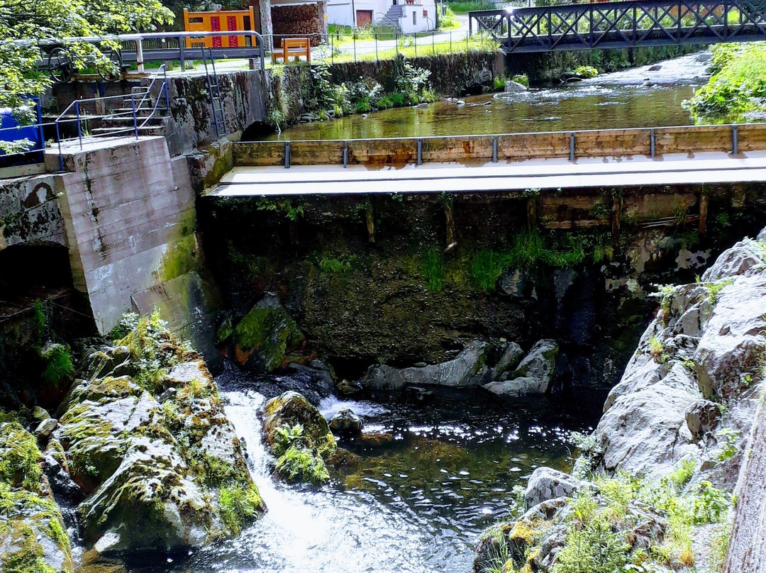 Pension Marienka主图