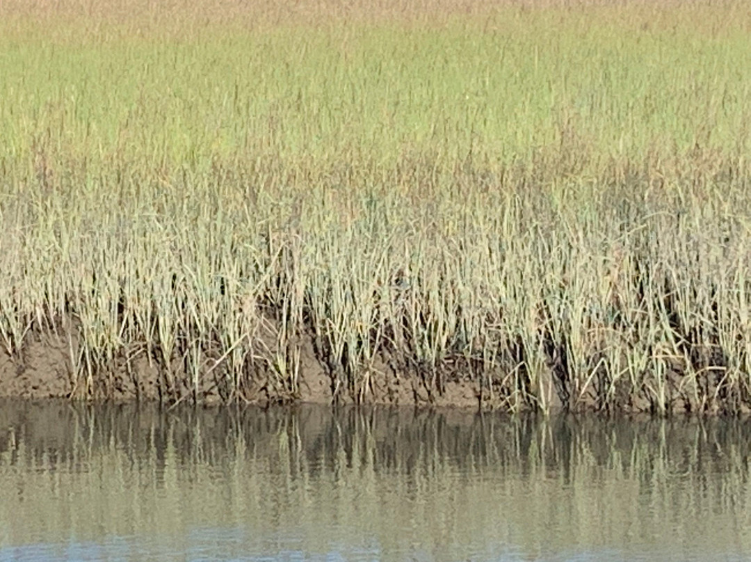 The Pelican Inn主图