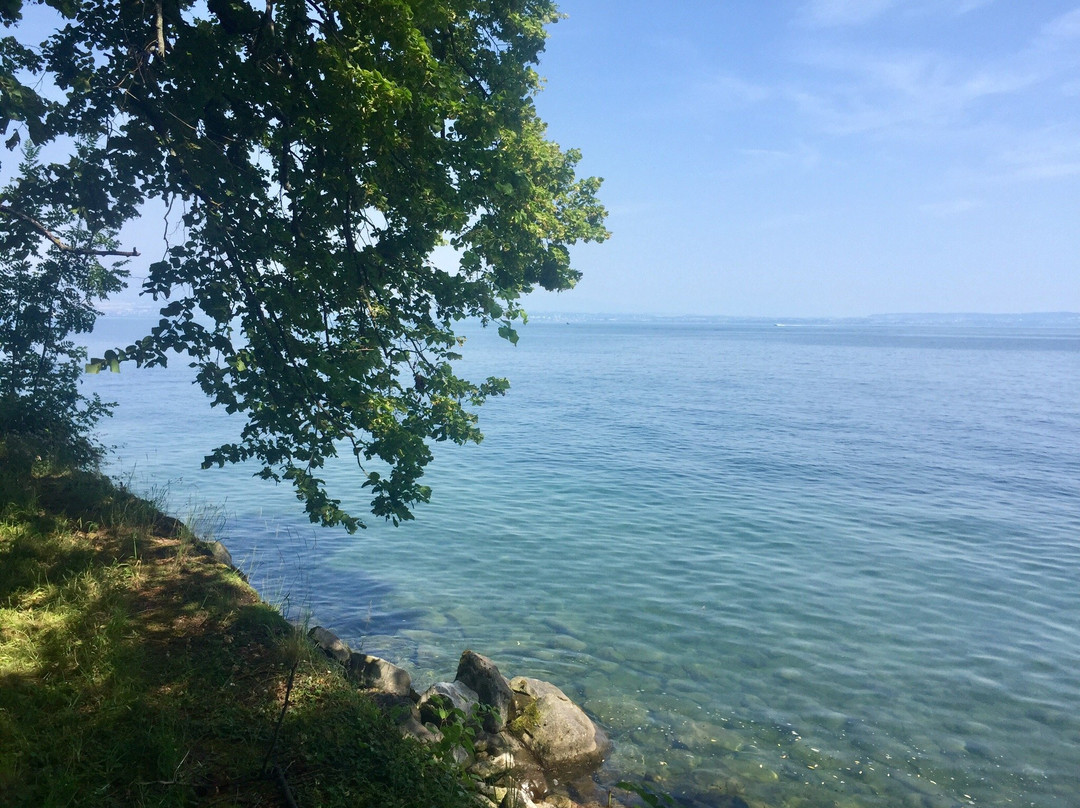 Les Jardins de L'eau du Pre Curieux景点图片