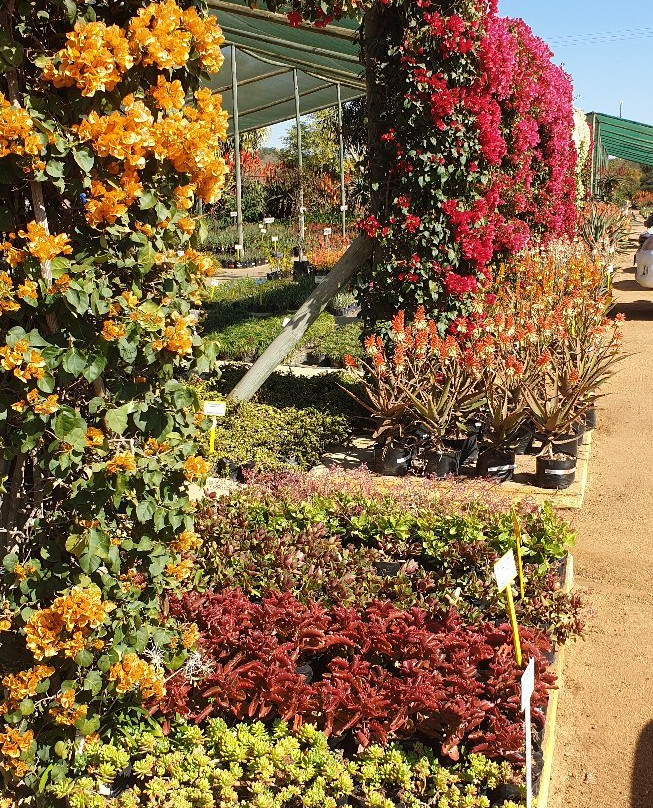 哈特比斯普特旅游景点-The Aloe Farm