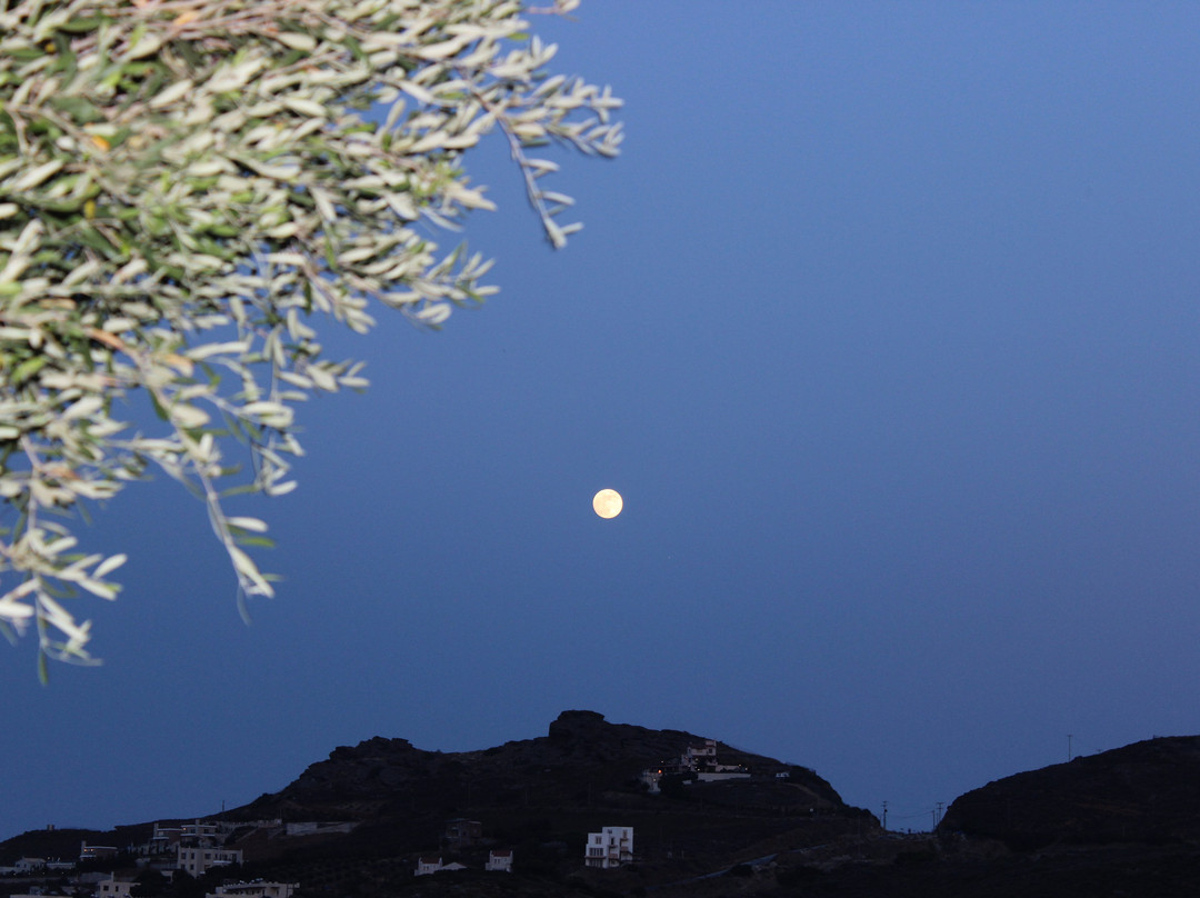 Bellevue Village主图