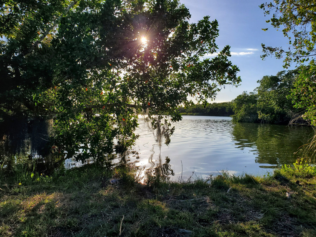 Paurotis Pond-大沼泽国家公园必去景点