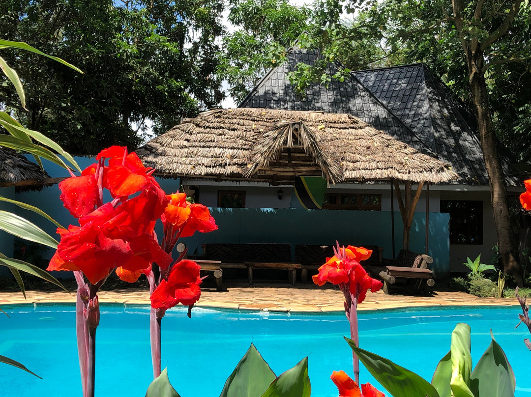 The Vijiji Center Lodge & Safari主图