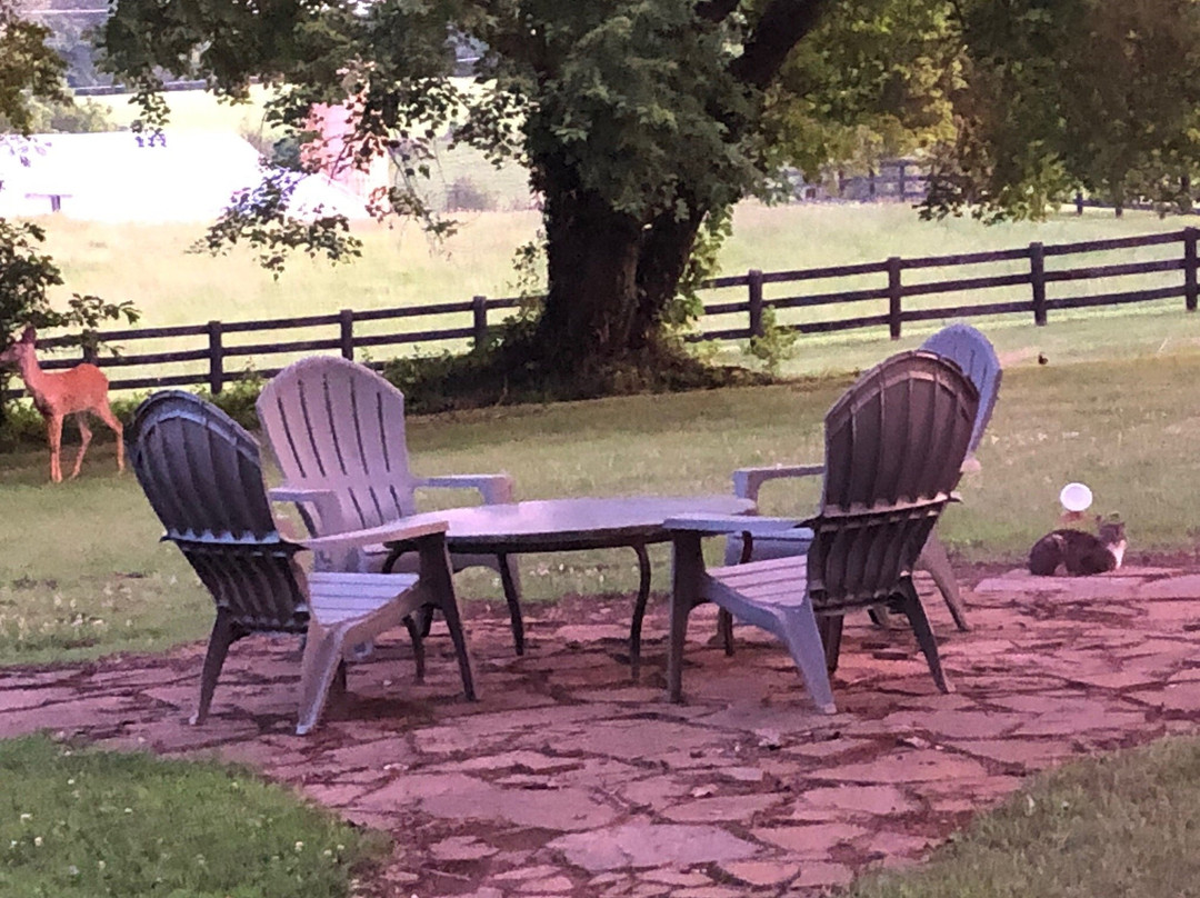 Hazel River Inn主图