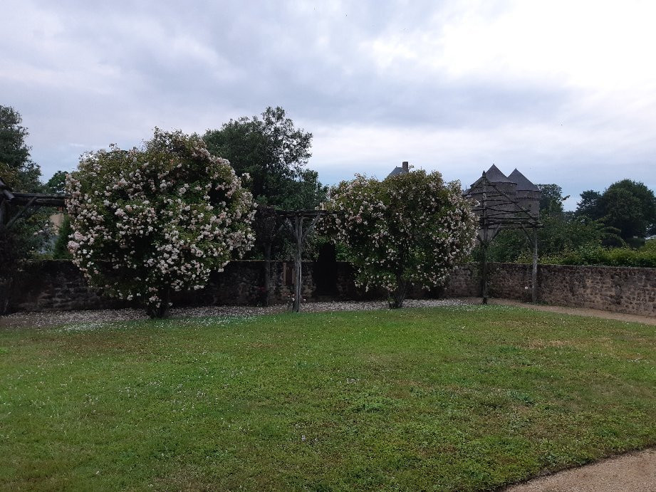 Jardin medieval景点图片