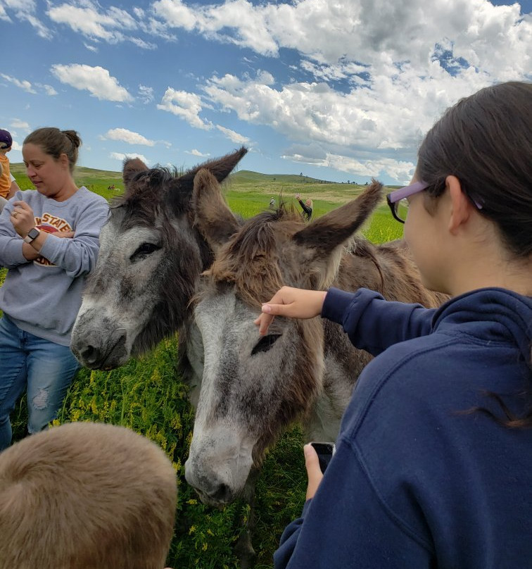 GeoFunTrek Tours-拉皮德城必去景点
