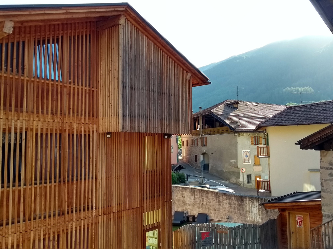 Palazzo Lodron Bertelli. Dimora Storica & Spa主图