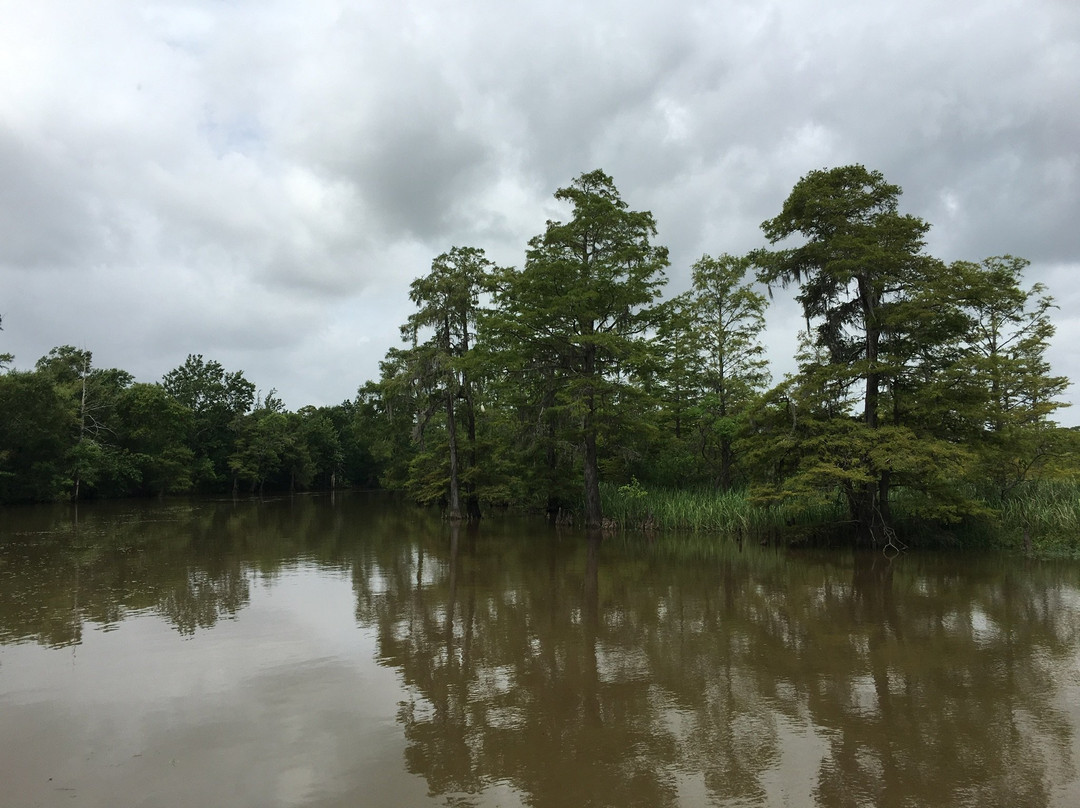 Neches River Adventures-博蒙特必去景点