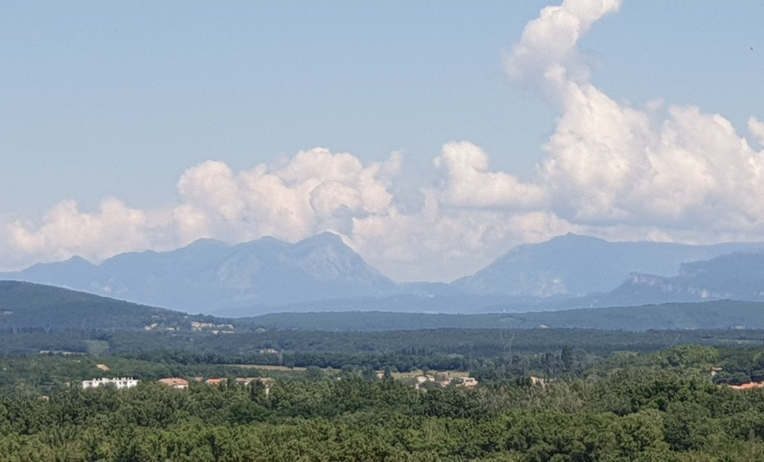 Viviers Cathedral景点图片