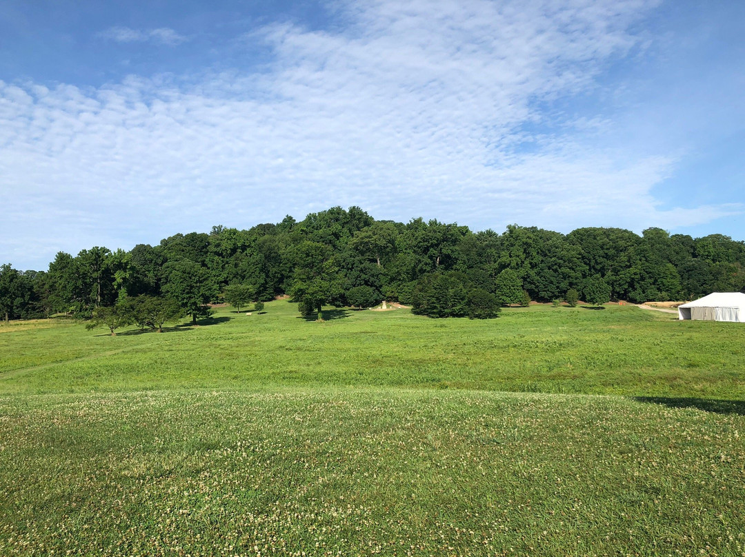 U.S. National Arboretum景点图片