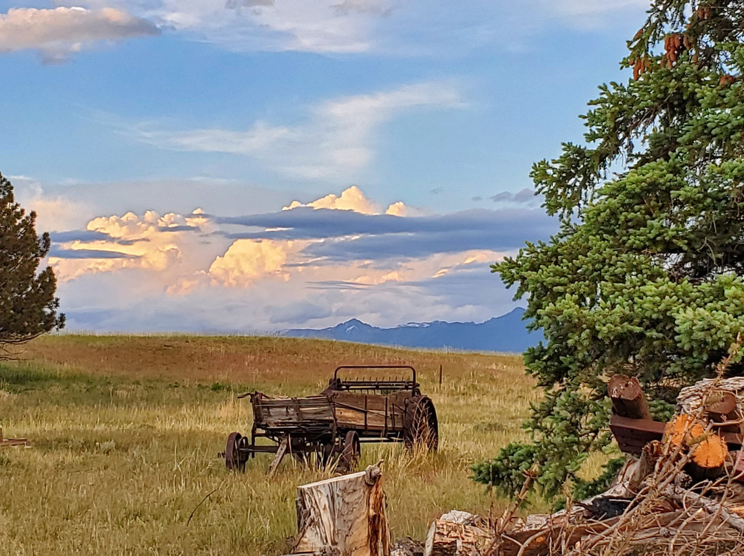天堂之地食宿酒店主图