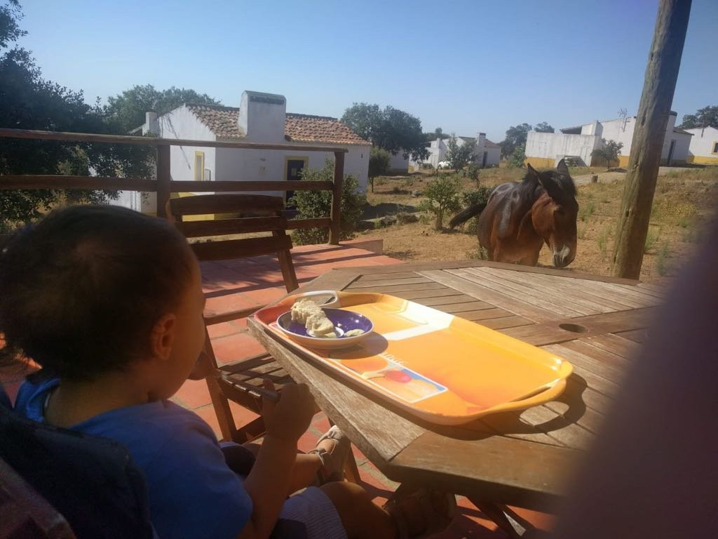 Quinta dos Amarelos主图