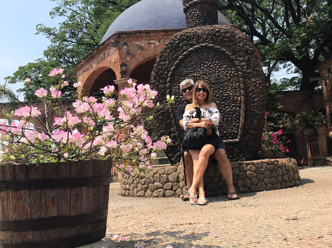 Mickey Marentes Tours & Experiences-特基拉必去景点