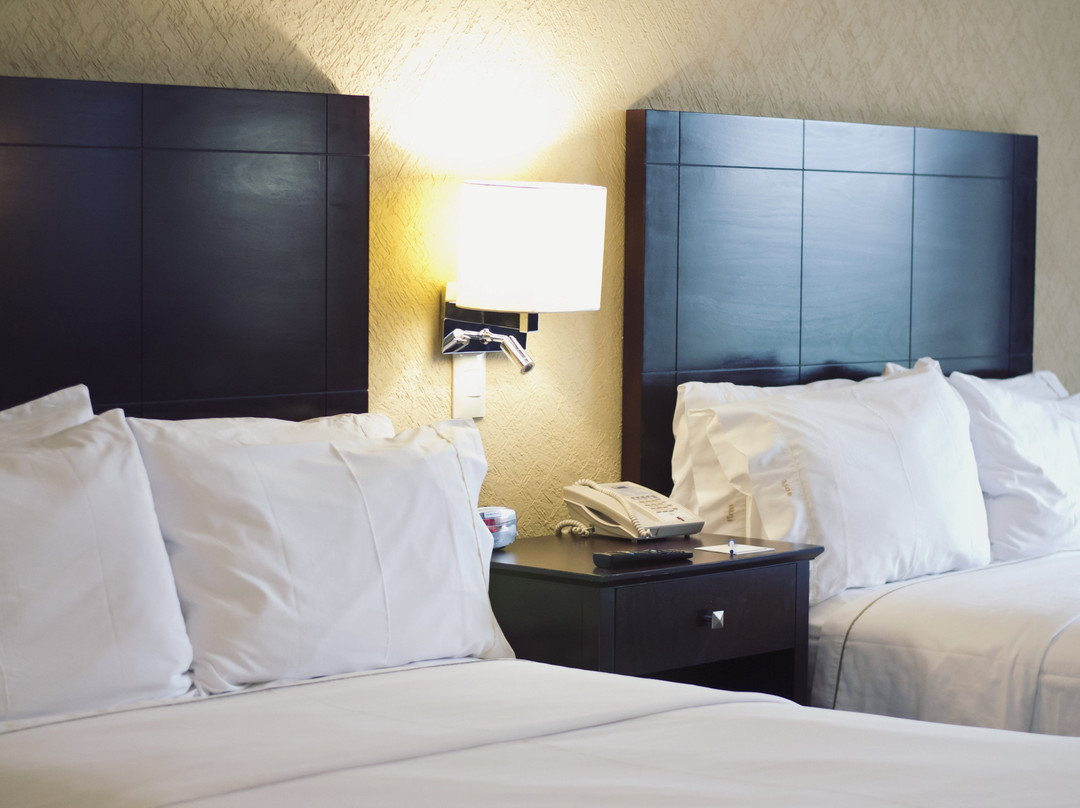 Holiday Inn Express Nuevo Laredo by IHG主图