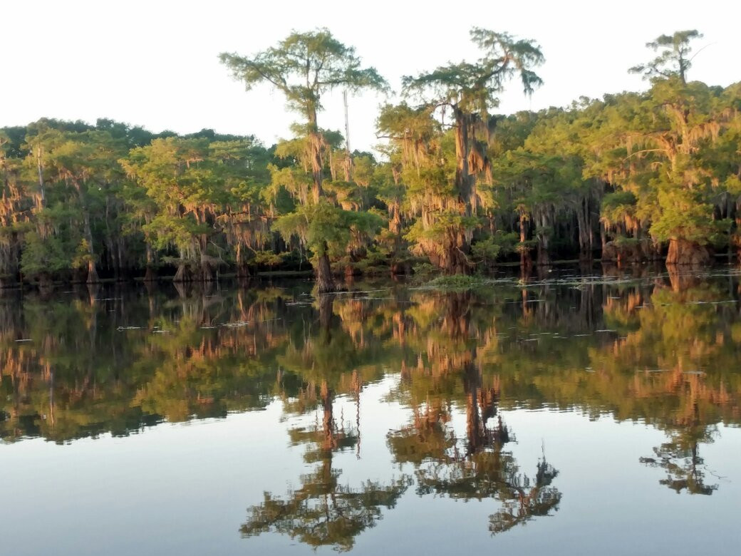 Caddo Outback-Karnack必去景点