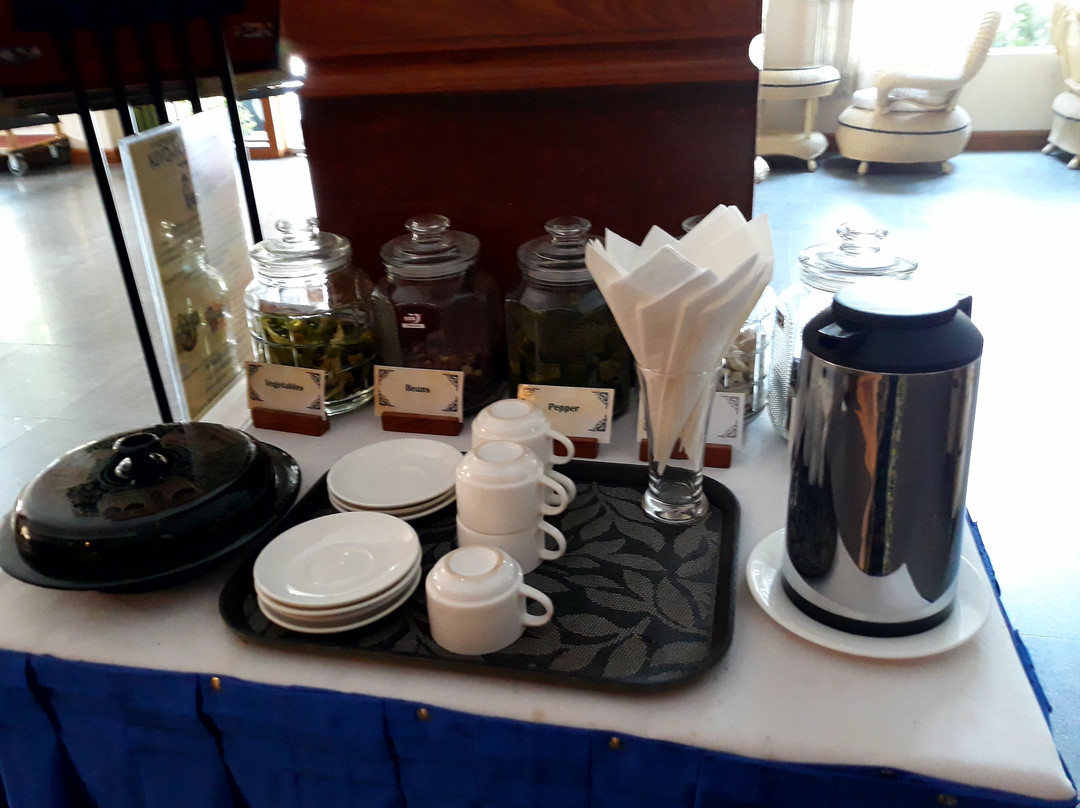 阿亚尔瓦蒂河景酒店主图