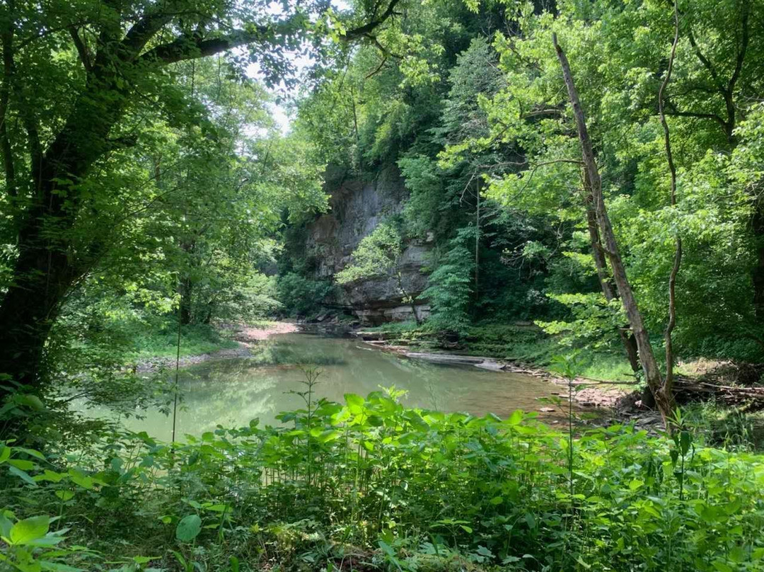 Boone Creek Outdoors-列克星敦必去景点