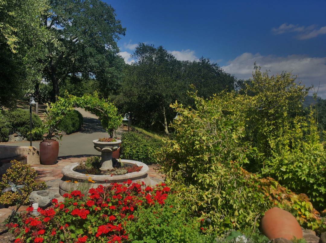 Savor Napa Valley Wine Tours-纳帕必去景点