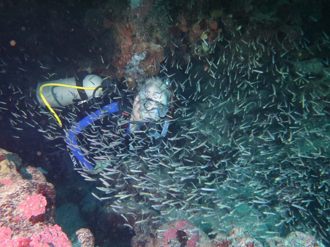 Dive Abaco景点图片