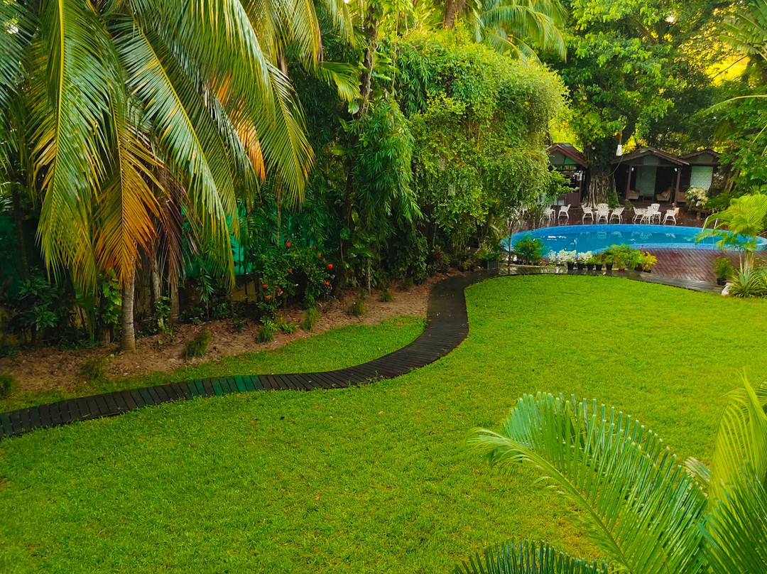 Silver Sand Sentinel主图