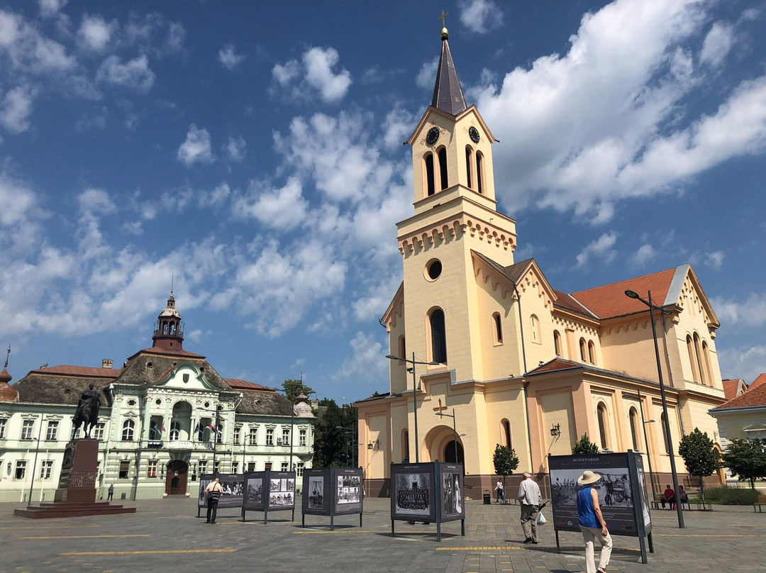 Zrenjanin Catholic Cathedral景点图片