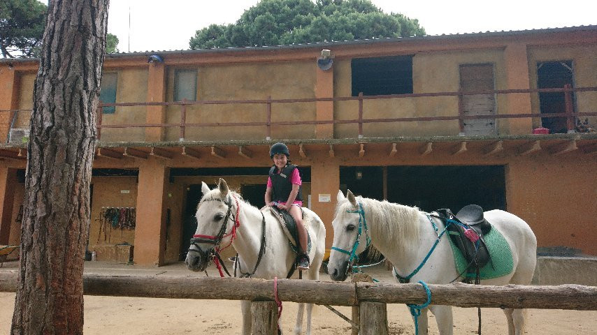 Hipica Begur Excursions a Caballo景点图片