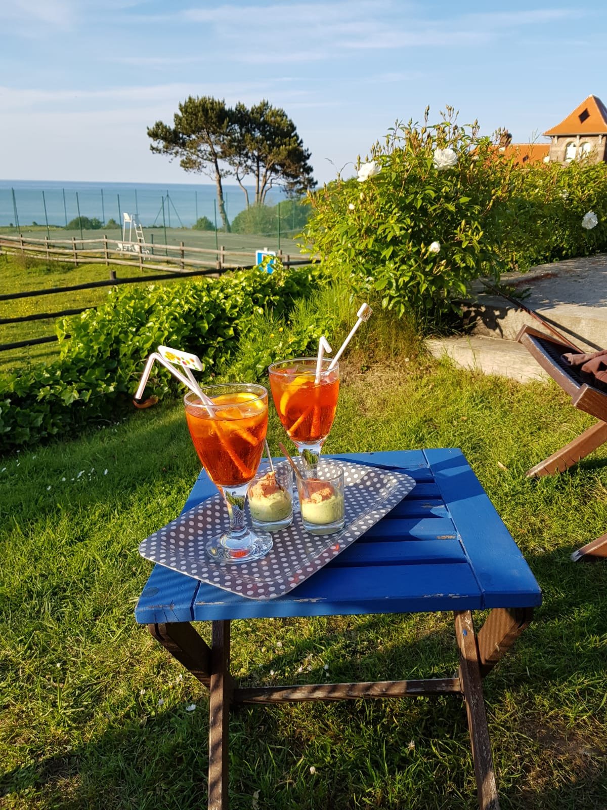 Hotel de la Terrasse-泳池