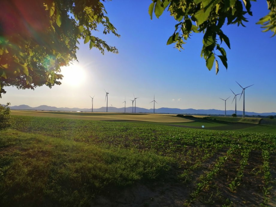 Gästehaus Seither Zur Traube主图