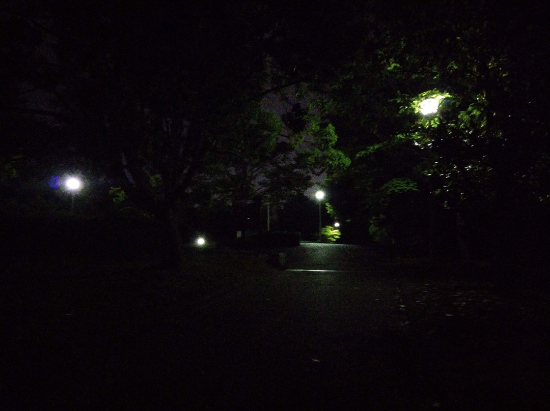 Senri Central Park-丰中市必去景点