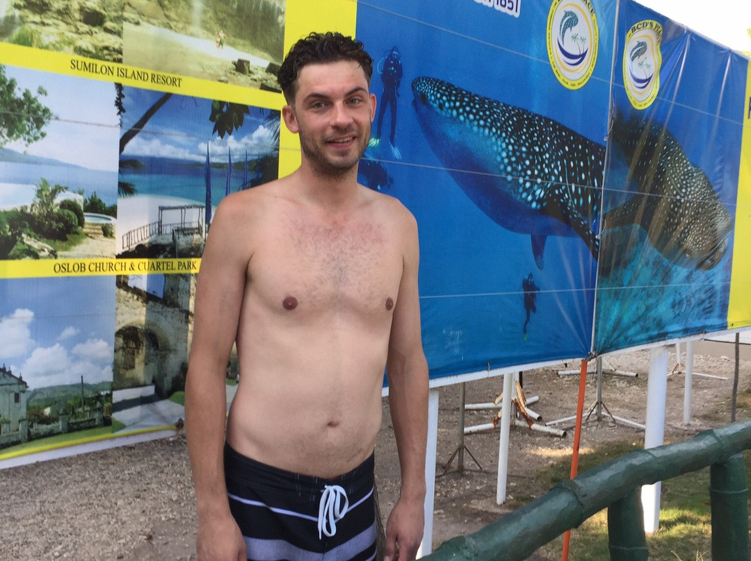 Whale Shark Alona & Oslob-邦劳岛必去景点