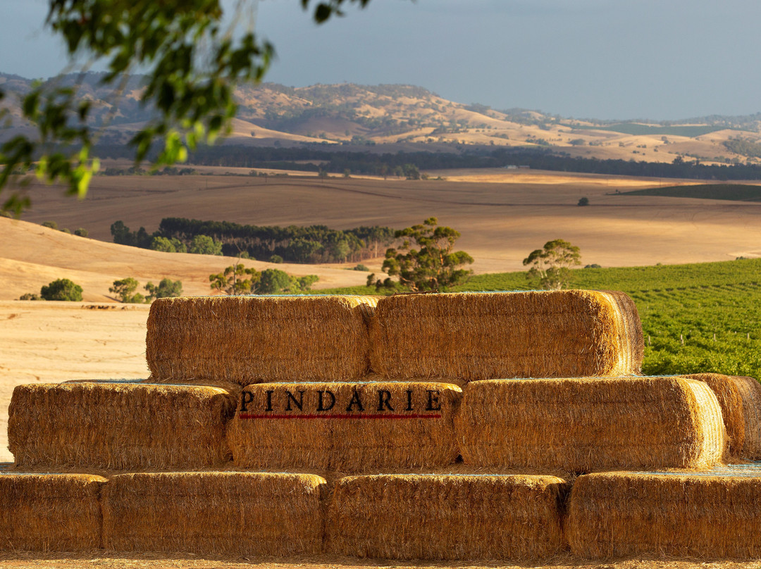 Pindarie Winery景点图片