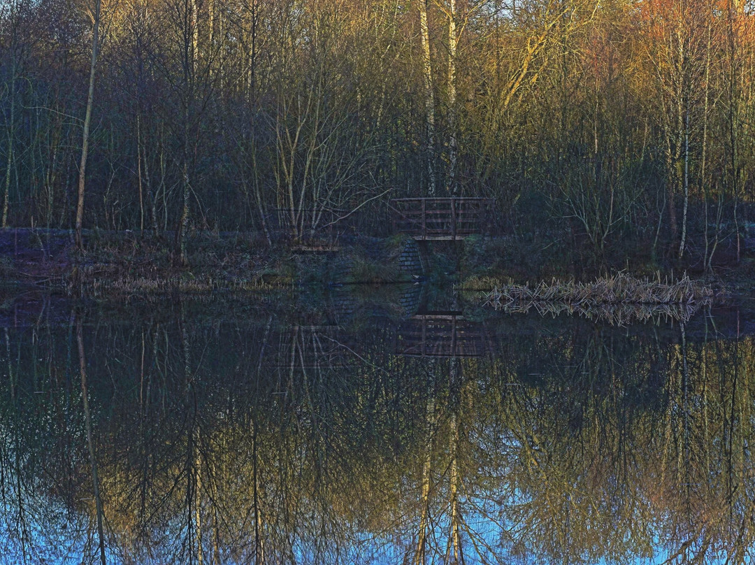 Redlees Urban Park景点图片