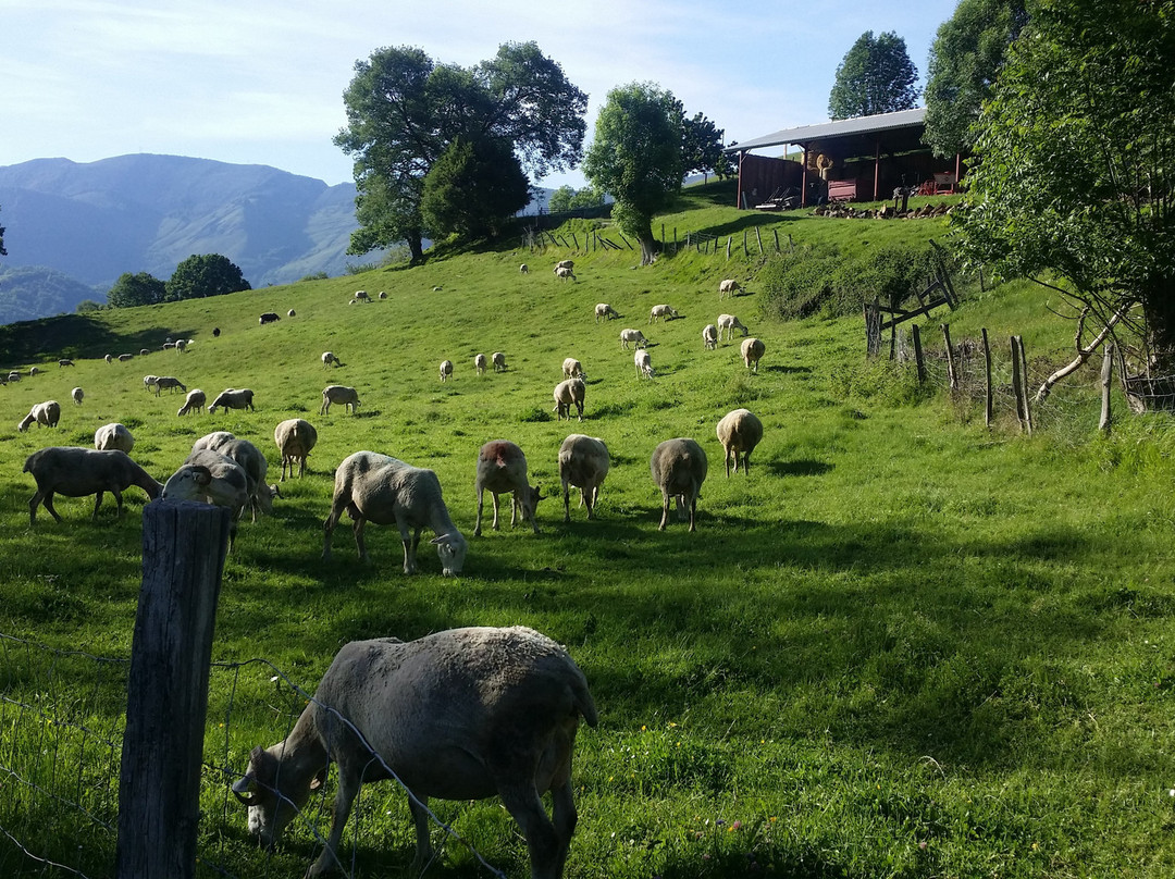 B&B Eth Berye Petit主图