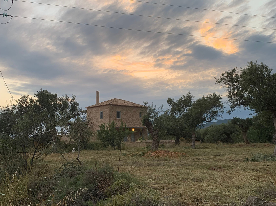 Lithos Guesthouse主图