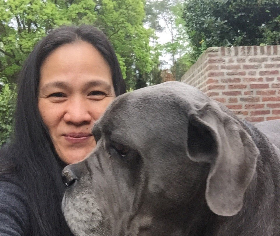 B&B Landgoed Bergerven主图