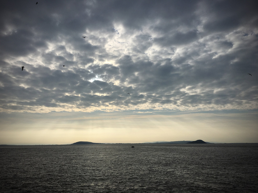 Steep Holm-滨海韦斯顿必去景点